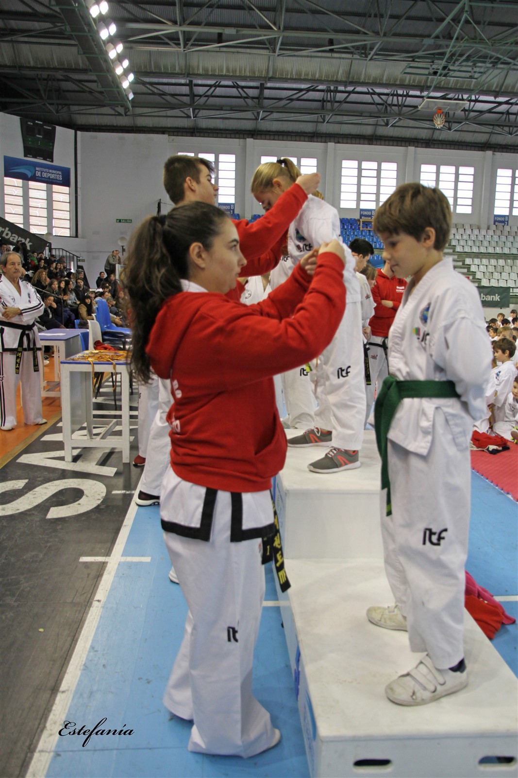 Taekwondo (253).jpg